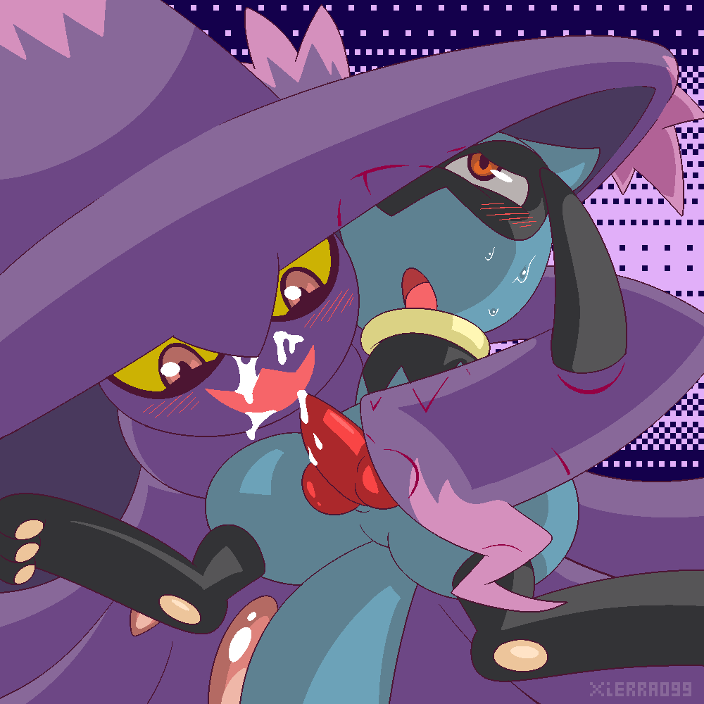 [Xierra099] Riolu learns the Type Chart (Pokémon)